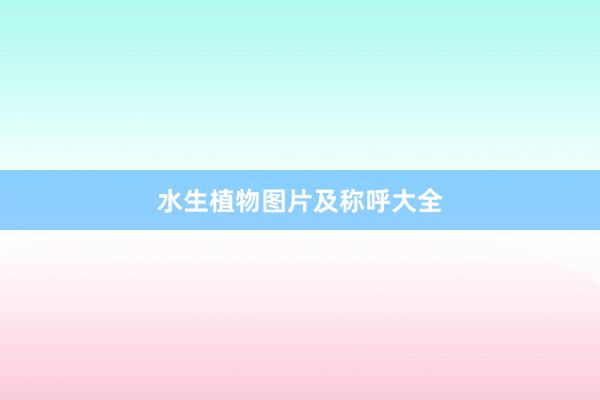 水生植物图片及称呼大全