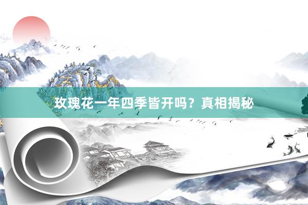 玫瑰花一年四季皆开吗？真相揭秘
