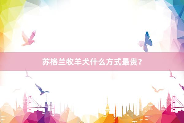 苏格兰牧羊犬什么方式最贵？