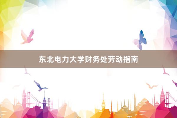 东北电力大学财务处劳动指南